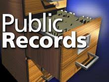 Public Record Graphic